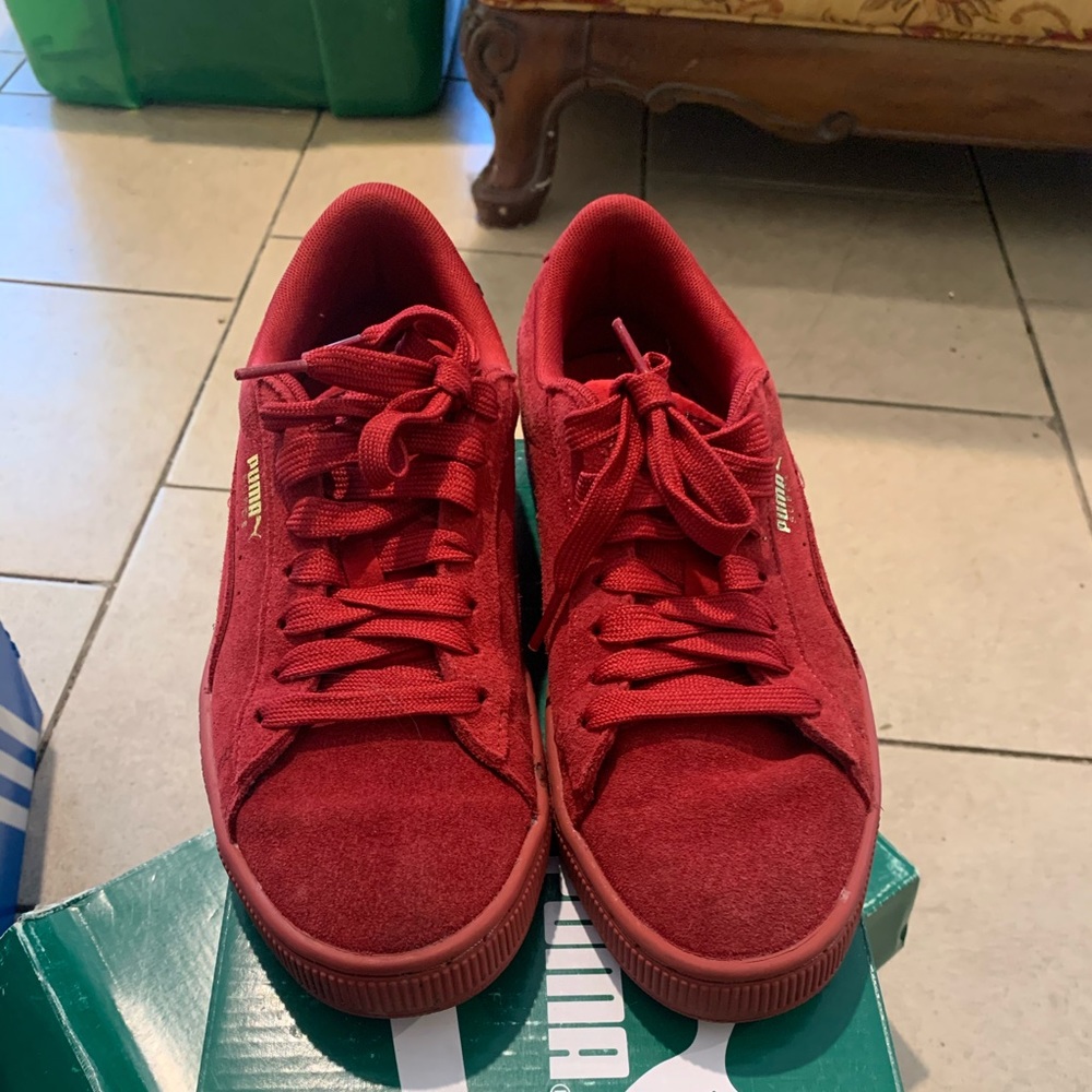Red pumas